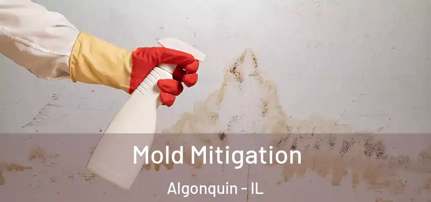 Mold Mitigation Algonquin - IL