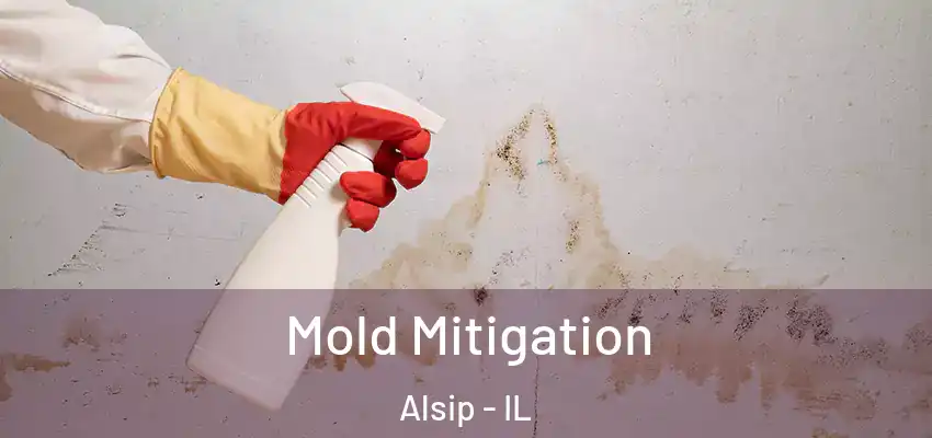  Mold Mitigation Alsip - IL