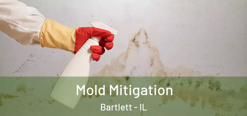 Mold Mitigation Bartlett - IL