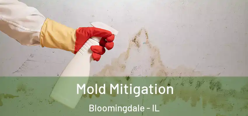  Mold Mitigation Bloomingdale - IL