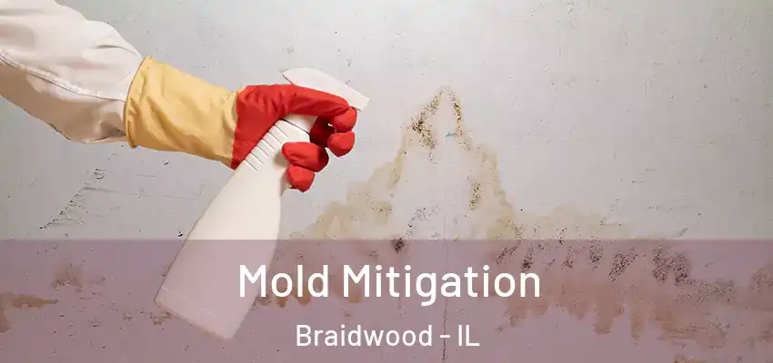  Mold Mitigation Braidwood - IL