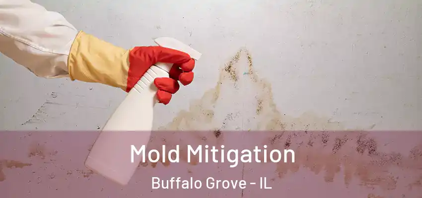  Mold Mitigation Buffalo Grove - IL