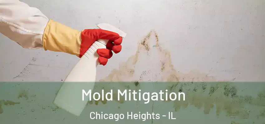  Mold Mitigation Chicago Heights - IL
