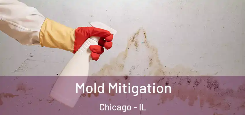  Mold Mitigation Chicago - IL