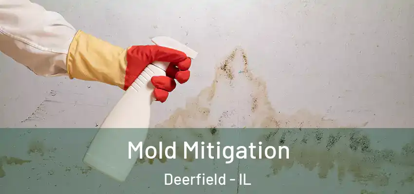  Mold Mitigation Deerfield - IL