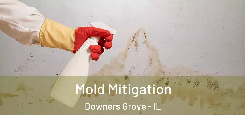 Mold Mitigation Downers Grove - IL