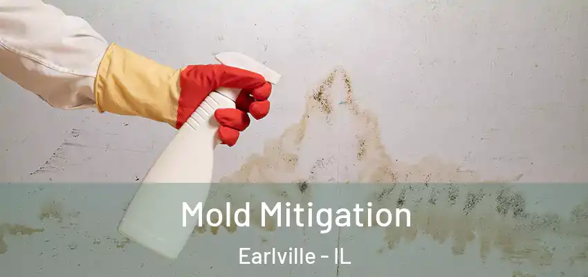  Mold Mitigation Earlville - IL