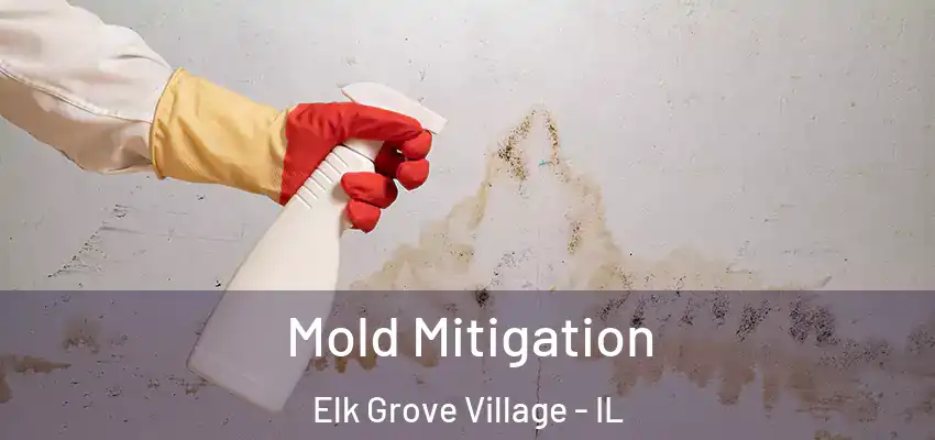 Mold Mitigation Elk Grove Village - IL