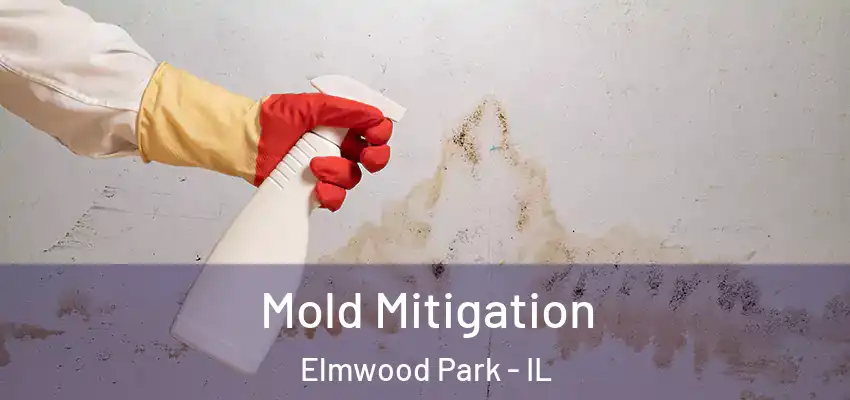 Mold Mitigation Elmwood Park - IL