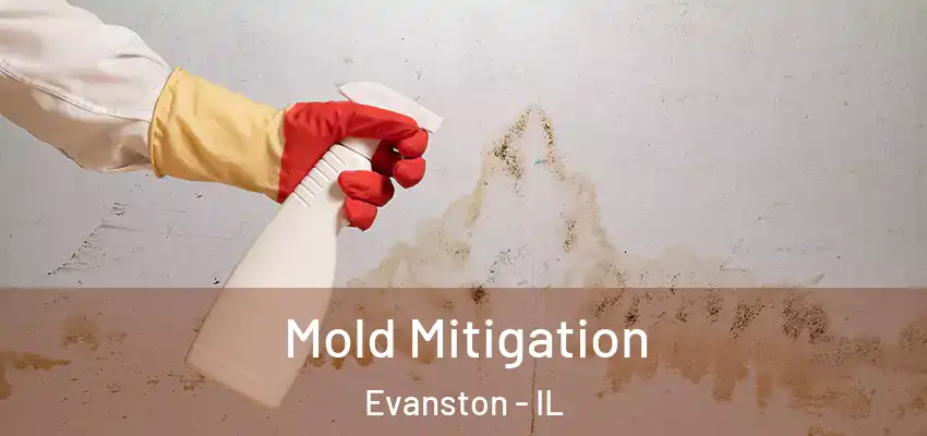  Mold Mitigation Evanston - IL