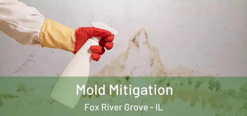 Mold Mitigation Fox River Grove - IL