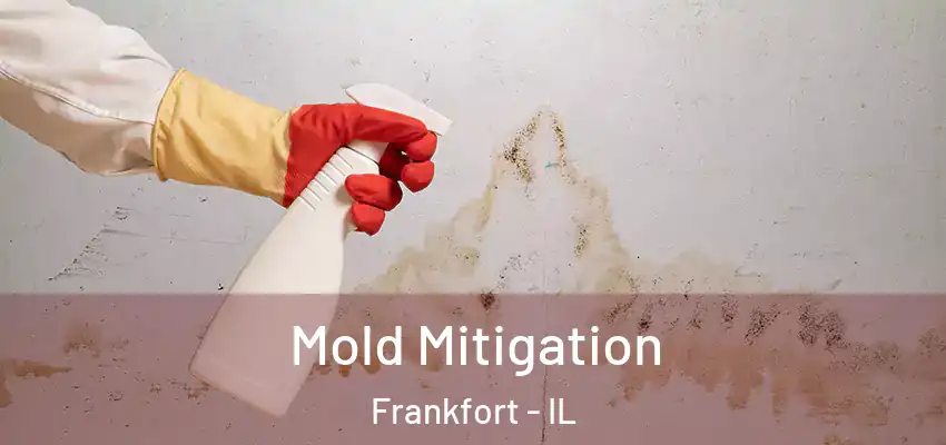  Mold Mitigation Frankfort - IL