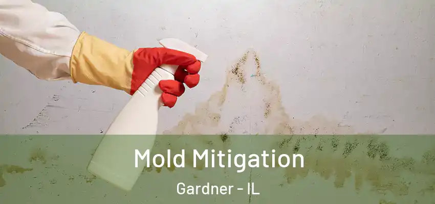  Mold Mitigation Gardner - IL