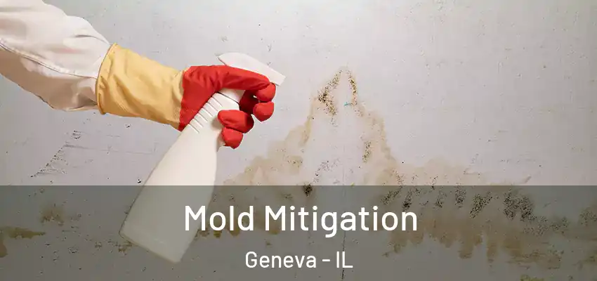 Mold Mitigation Geneva - IL