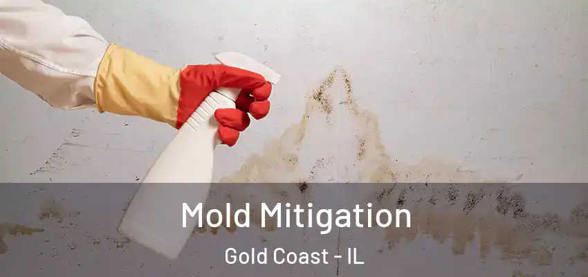 Mold Mitigation Gold Coast - IL