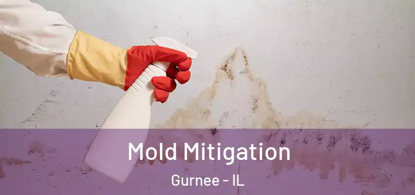  Mold Mitigation Gurnee - IL