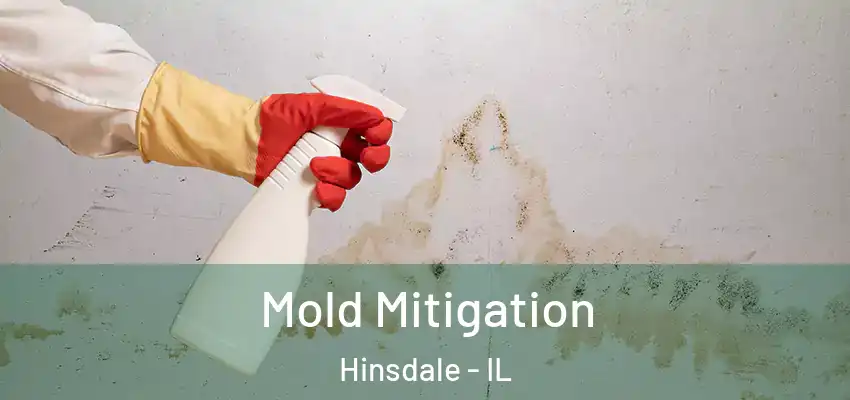 Mold Mitigation Hinsdale - IL