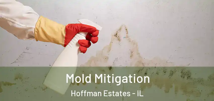 Mold Mitigation Hoffman Estates - IL