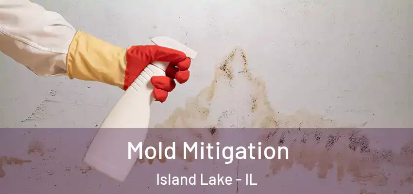  Mold Mitigation Island Lake - IL