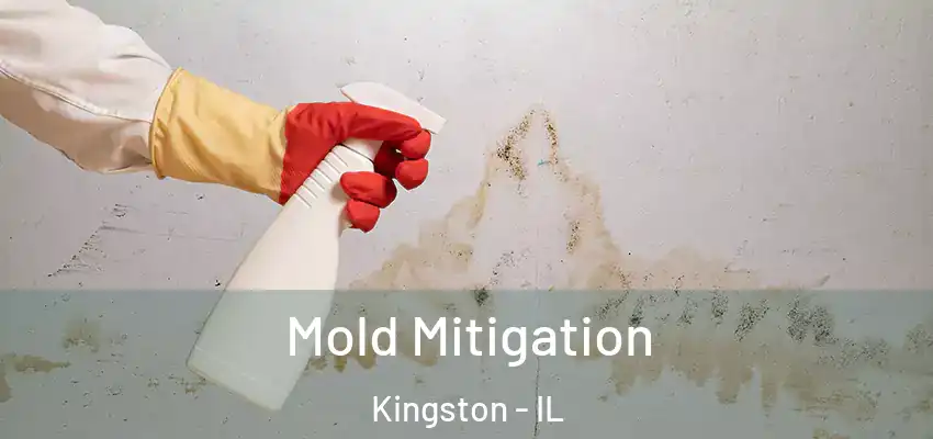 Mold Mitigation Kingston - IL