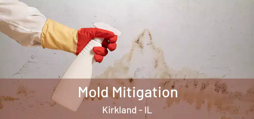  Mold Mitigation Kirkland - IL
