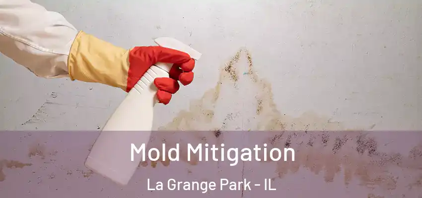 Mold Mitigation La Grange Park - IL