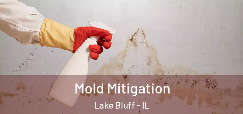  Mold Mitigation Lake Bluff - IL