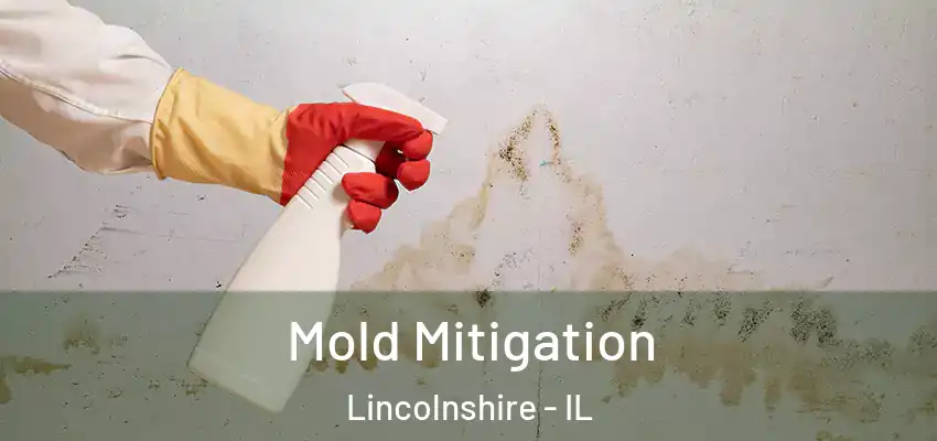  Mold Mitigation Lincolnshire - IL