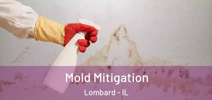  Mold Mitigation Lombard - IL