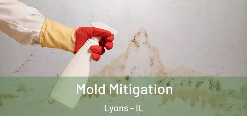  Mold Mitigation Lyons - IL