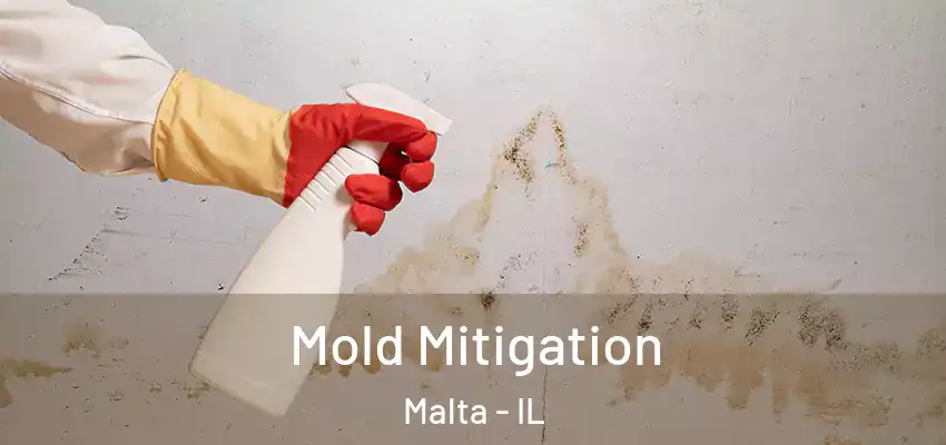 Mold Mitigation Malta - IL