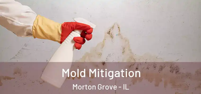 Mold Mitigation Morton Grove - IL