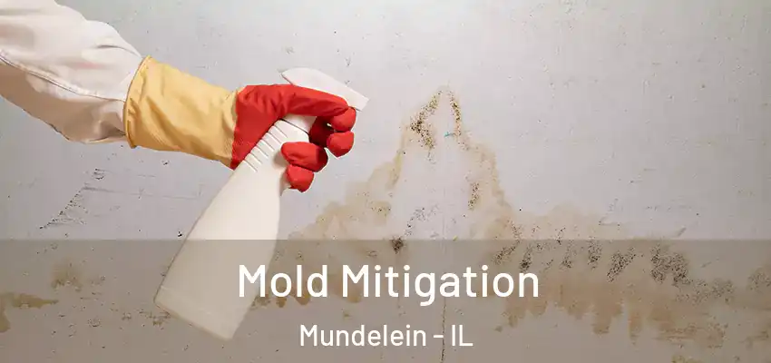 Mold Mitigation Mundelein - IL