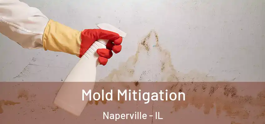  Mold Mitigation Naperville - IL
