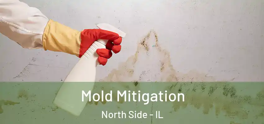  Mold Mitigation North Side - IL