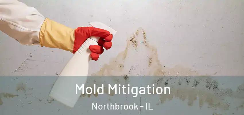  Mold Mitigation Northbrook - IL