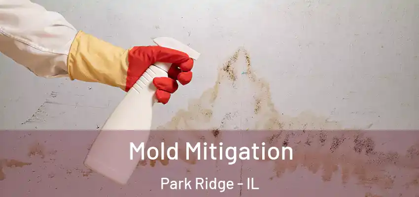  Mold Mitigation Park Ridge - IL