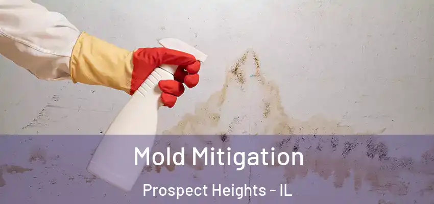  Mold Mitigation Prospect Heights - IL