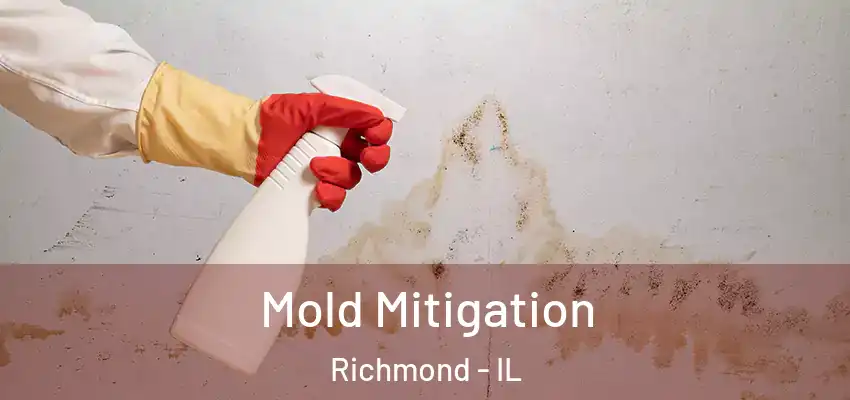 Mold Mitigation Richmond - IL