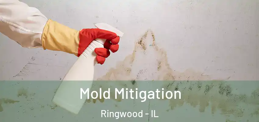 Mold Mitigation Ringwood - IL
