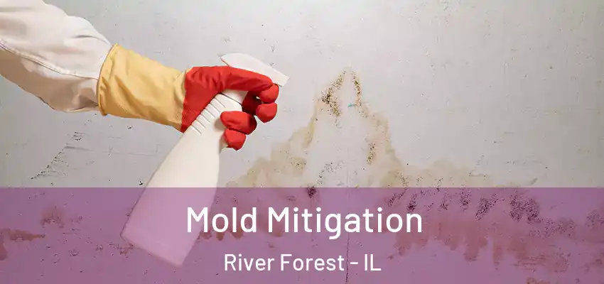  Mold Mitigation River Forest - IL