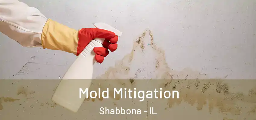  Mold Mitigation Shabbona - IL