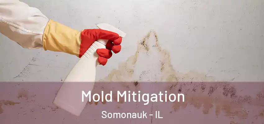  Mold Mitigation Somonauk - IL