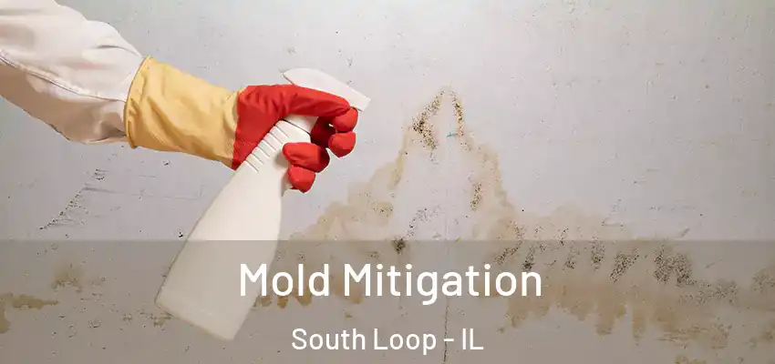  Mold Mitigation South Loop - IL