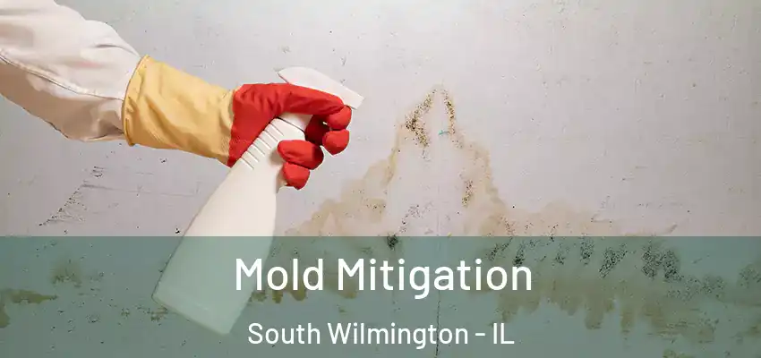 Mold Mitigation South Wilmington - IL