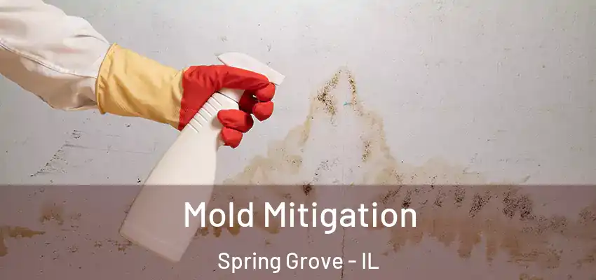 Mold Mitigation Spring Grove - IL