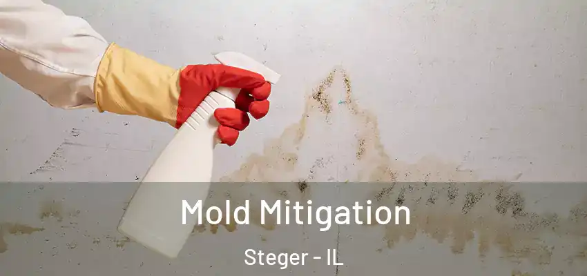  Mold Mitigation Steger - IL