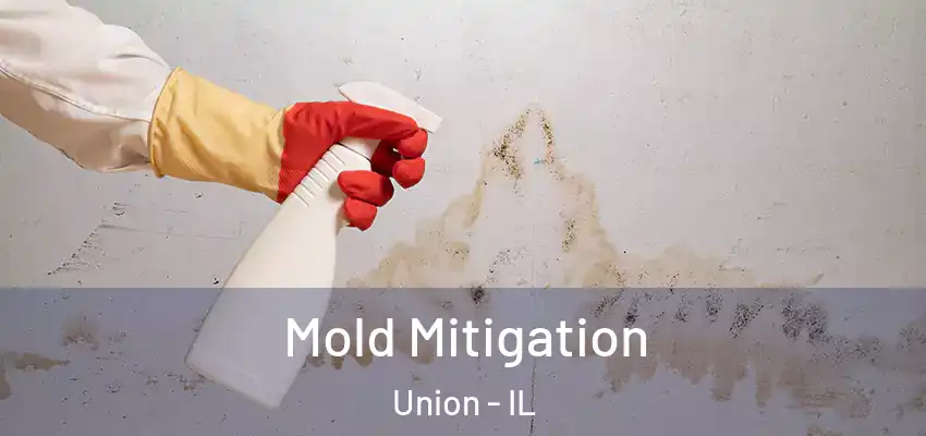 Mold Mitigation Union - IL