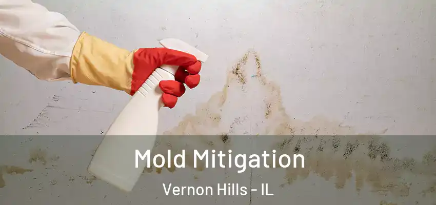 Mold Mitigation Vernon Hills - IL