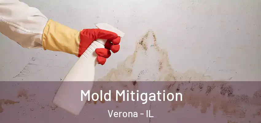  Mold Mitigation Verona - IL